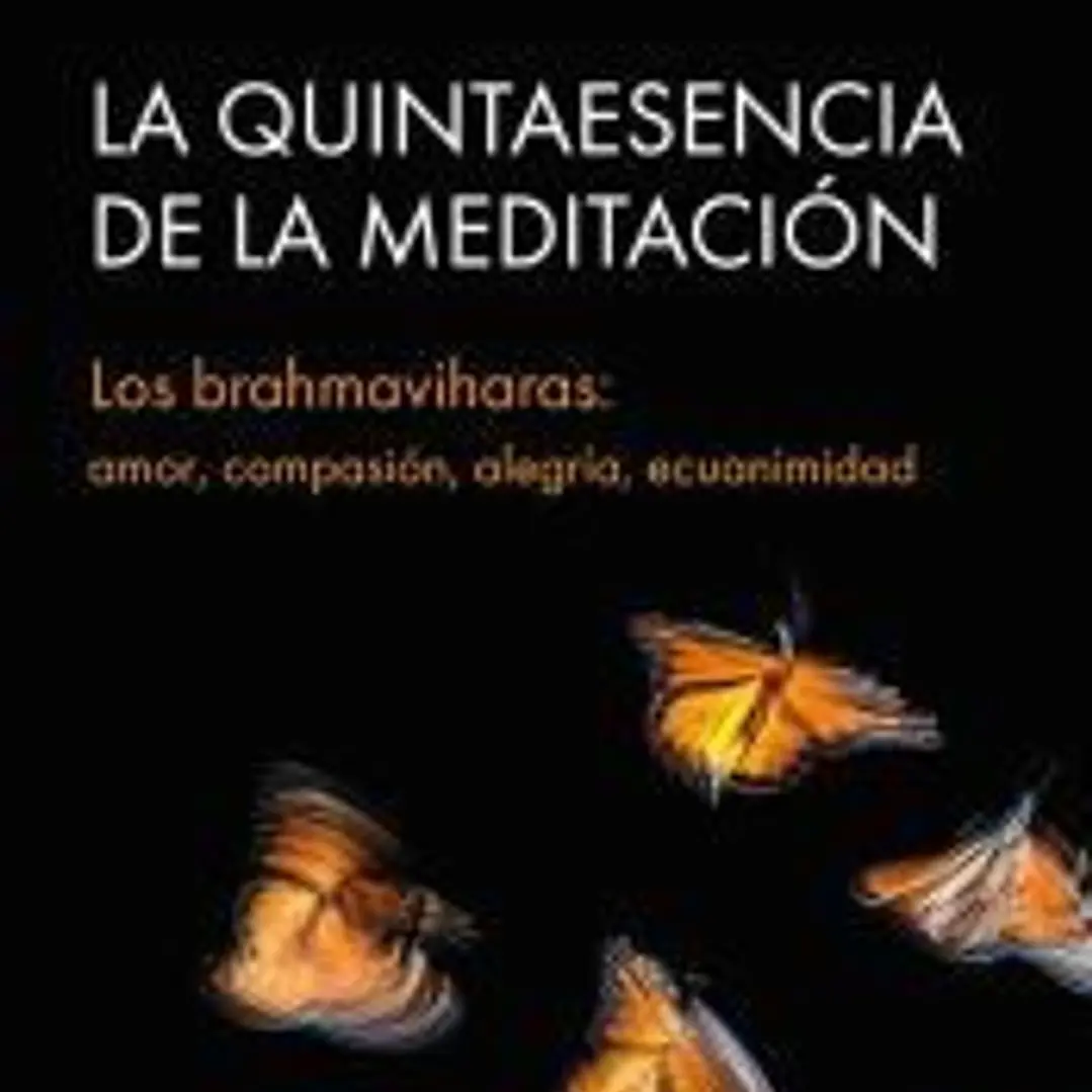 La quintaesencia de la meditación 1