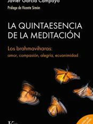 La quintaesencia de la meditación