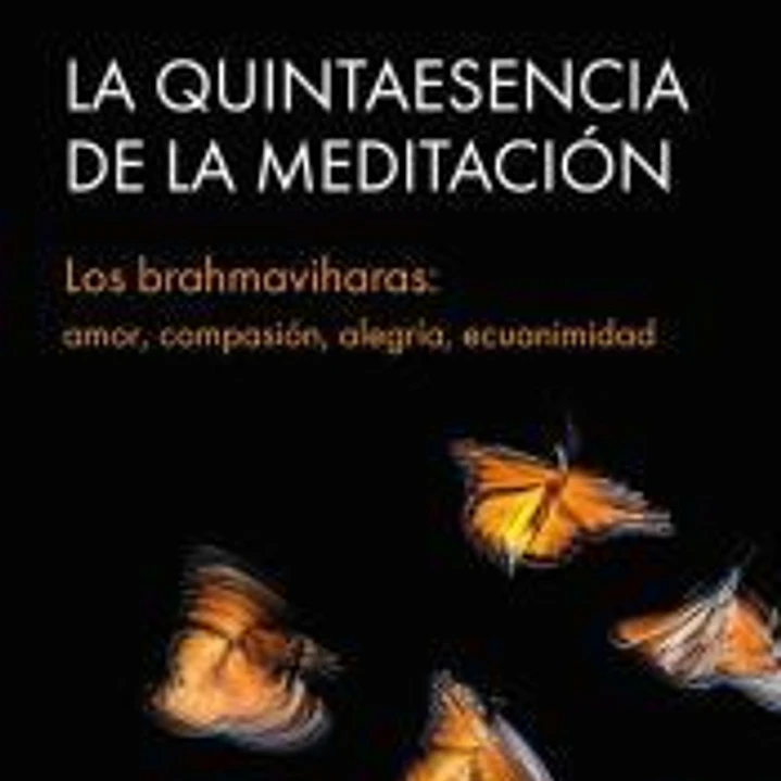 La quintaesencia de la meditación 1