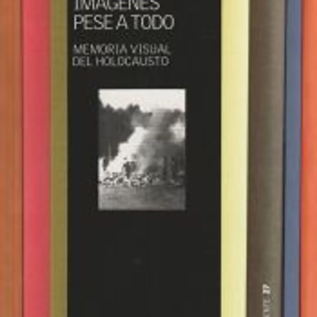 IMÁGENES PESE A TODO 1