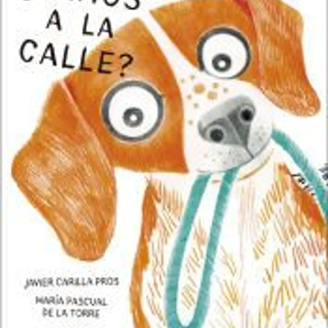 VAMOS A LA CALLE 1