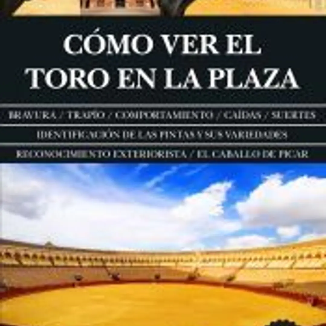 Cómo ver el toro en la plaza 1