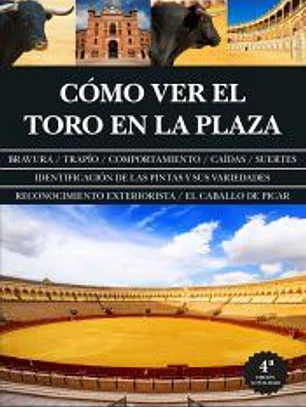 Cómo ver el toro en la plaza