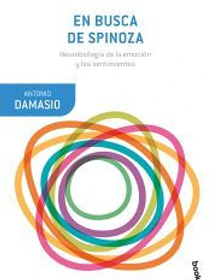 En busca de Spinoza