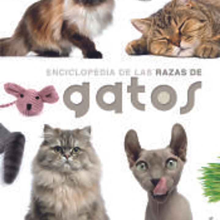 Enciclopedia de las Razas de Gatos 1