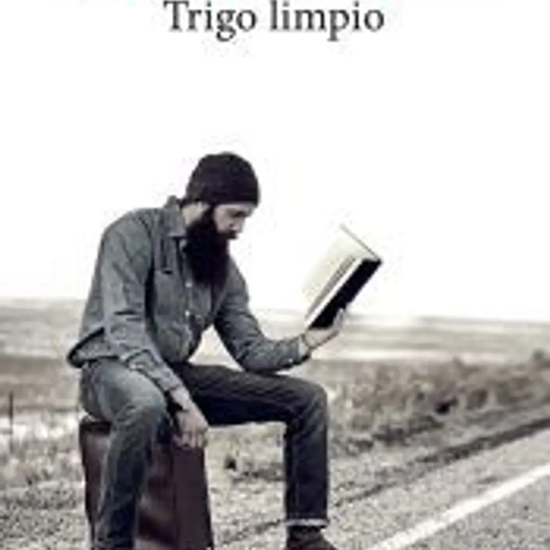 Trigo limpio 1