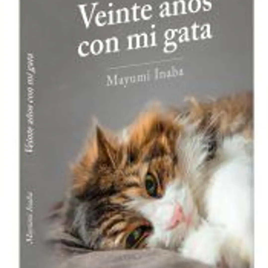 Veinte años con mi gata 1