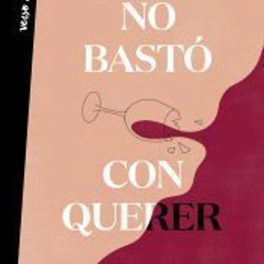 No bastó con querer 1