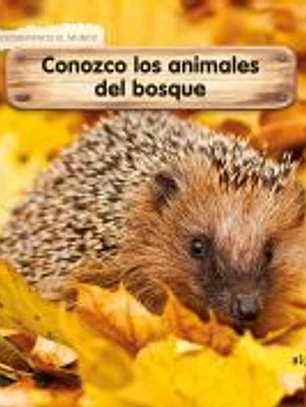 *Aprendo los animales del bosque