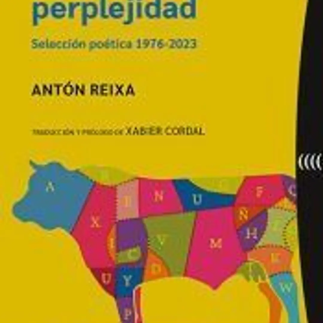 Enciclopedia perplejidad 1