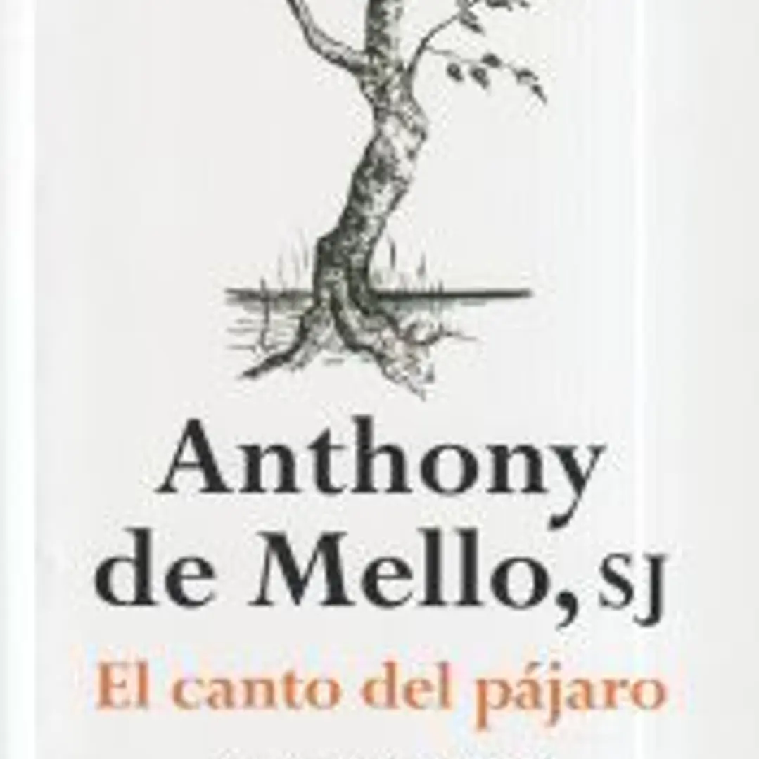 El canto del pájaro 1