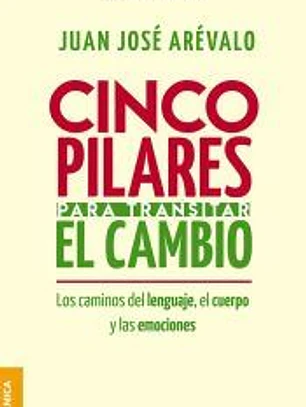 Cinco pilares para transitar el cambio