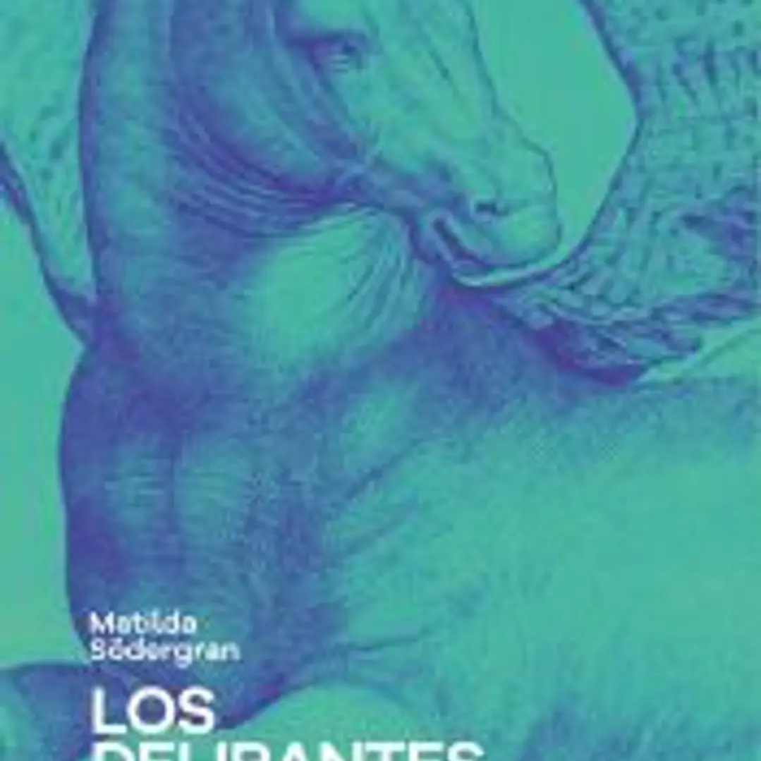 Los delirantes 1