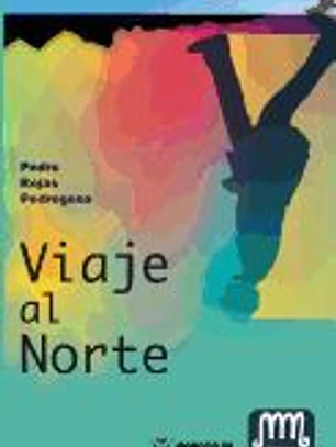 VIAJE AL NORTE