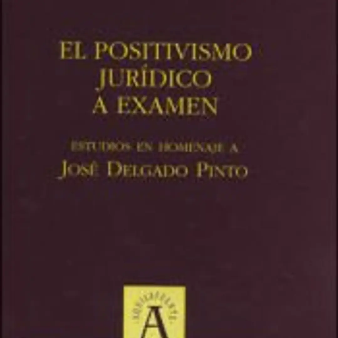 El positivismo jurídico a examen: estudios en homenaje a José Delgado Pinto 1