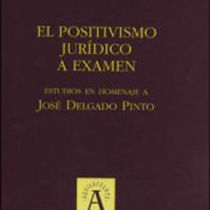 El positivismo jurídico a examen: estudios en homenaje a José Delgado Pinto 1