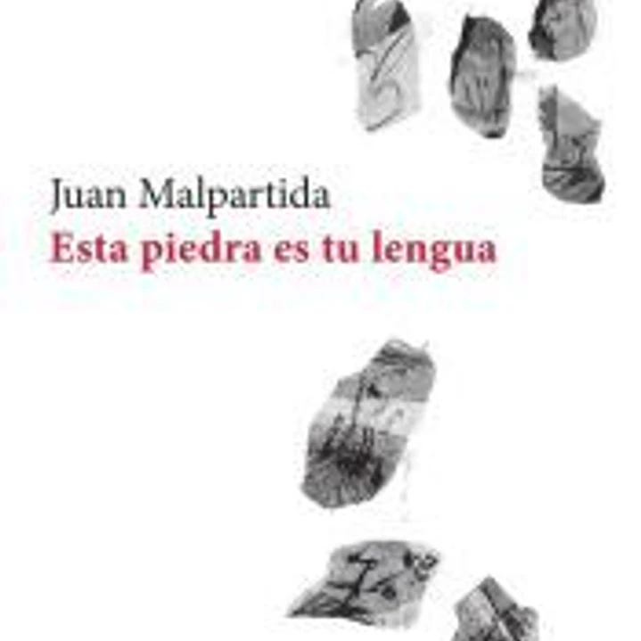 Esta piedra es tu lengua 1