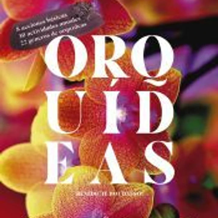 Orquídeas 1