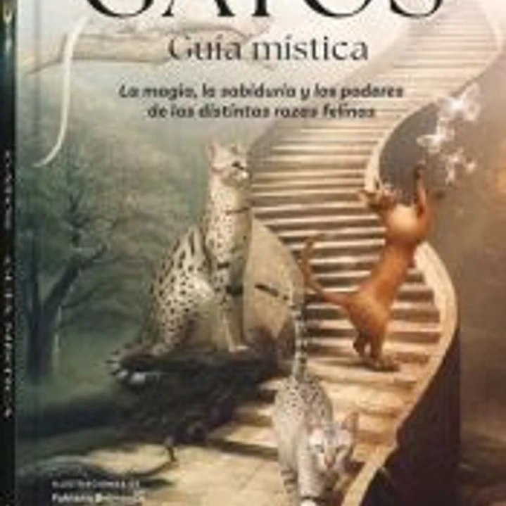 Gatos, guía mística 1