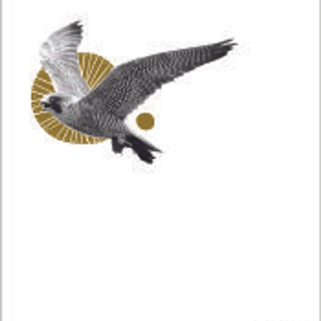 El peregrino 1
