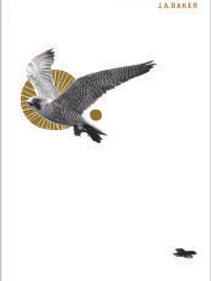 El peregrino