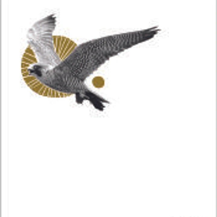 El peregrino 1