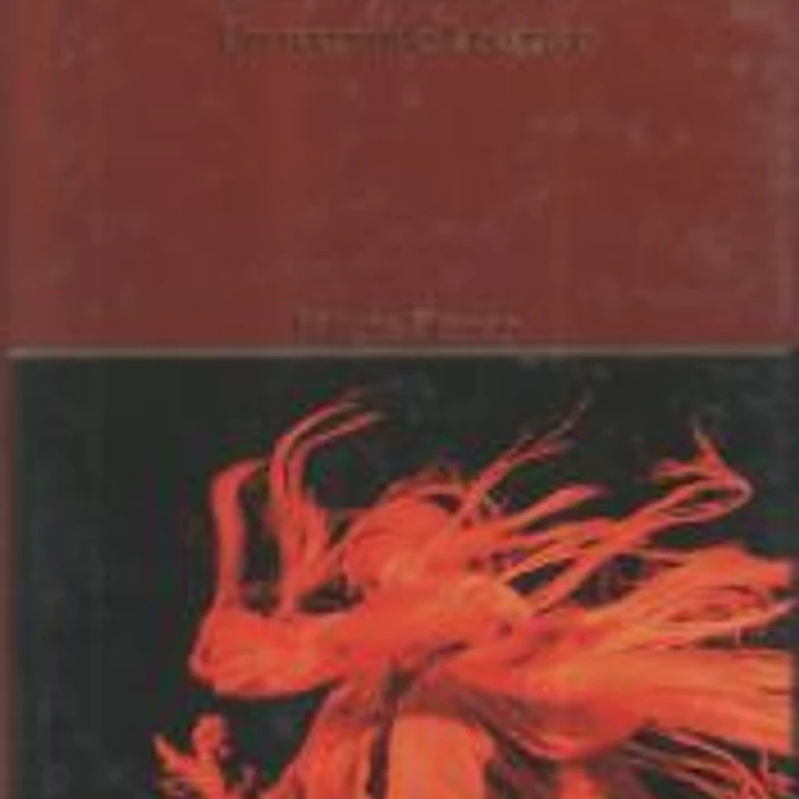 LA INDUMENTARIA EN EL BAILE FLAMENCO 1