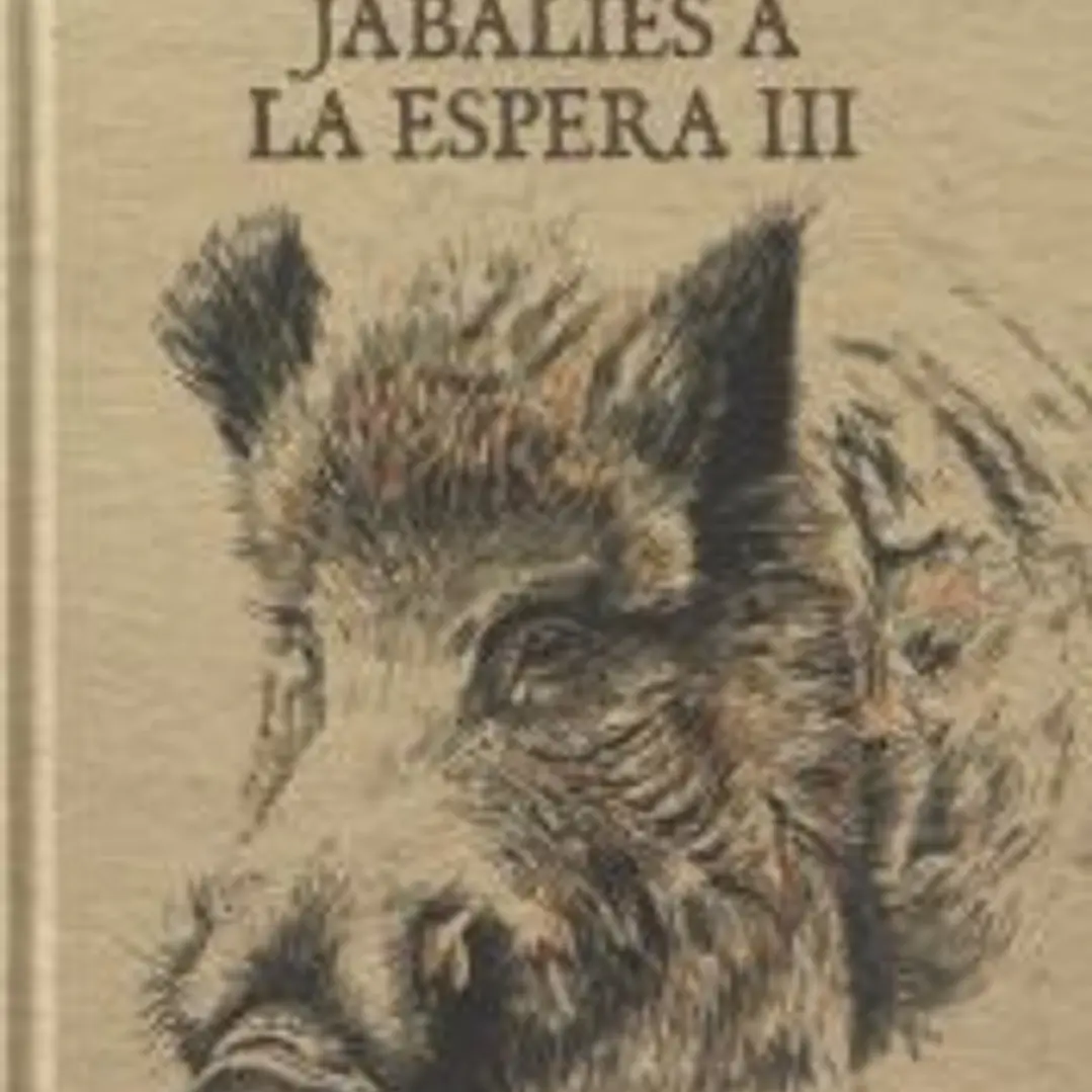 JABALÍES A LA ESPERA. Y III. 1
