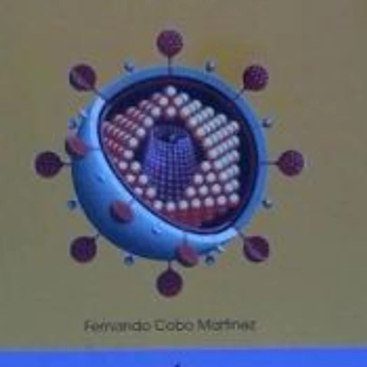 ENFERMEDADES INFECCIOSAS VIRALES 1