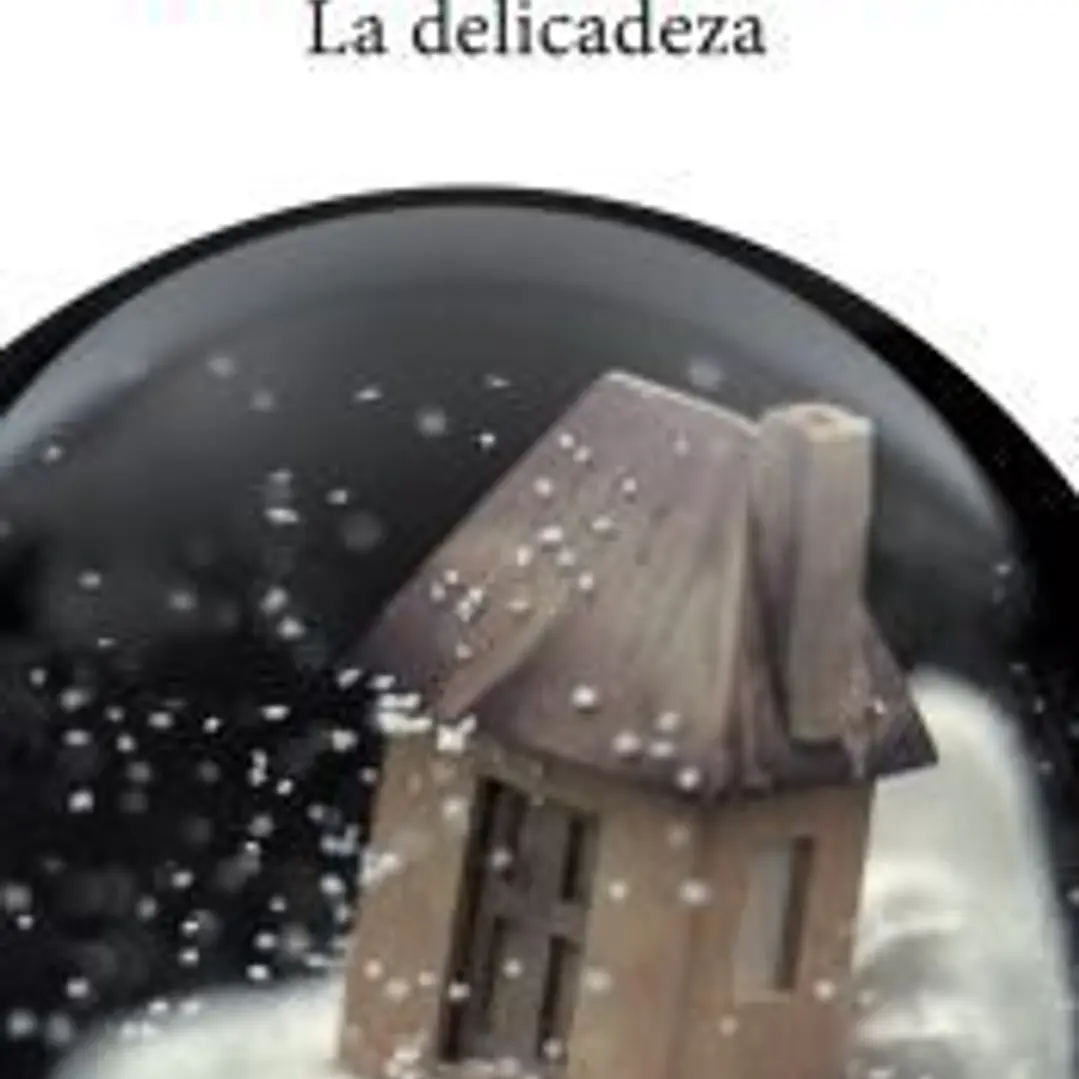 La delicadeza 1