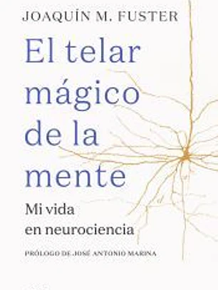 El telar mágico de la mente