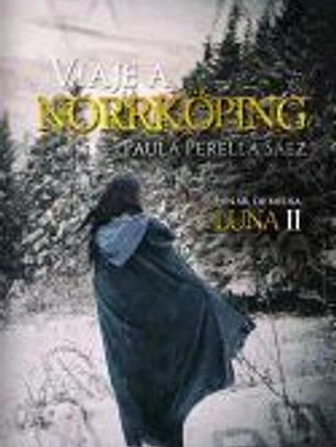 Viaje a Norrkoping: Lunar de Media Luna II