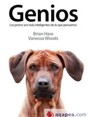 Genios: los perros son más inteligentes de lo que pensamos