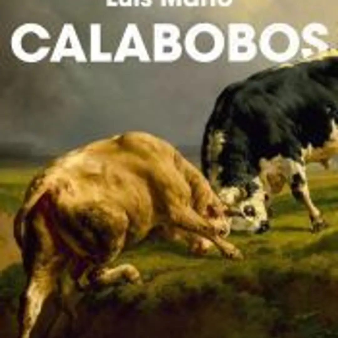 Calabobos 1