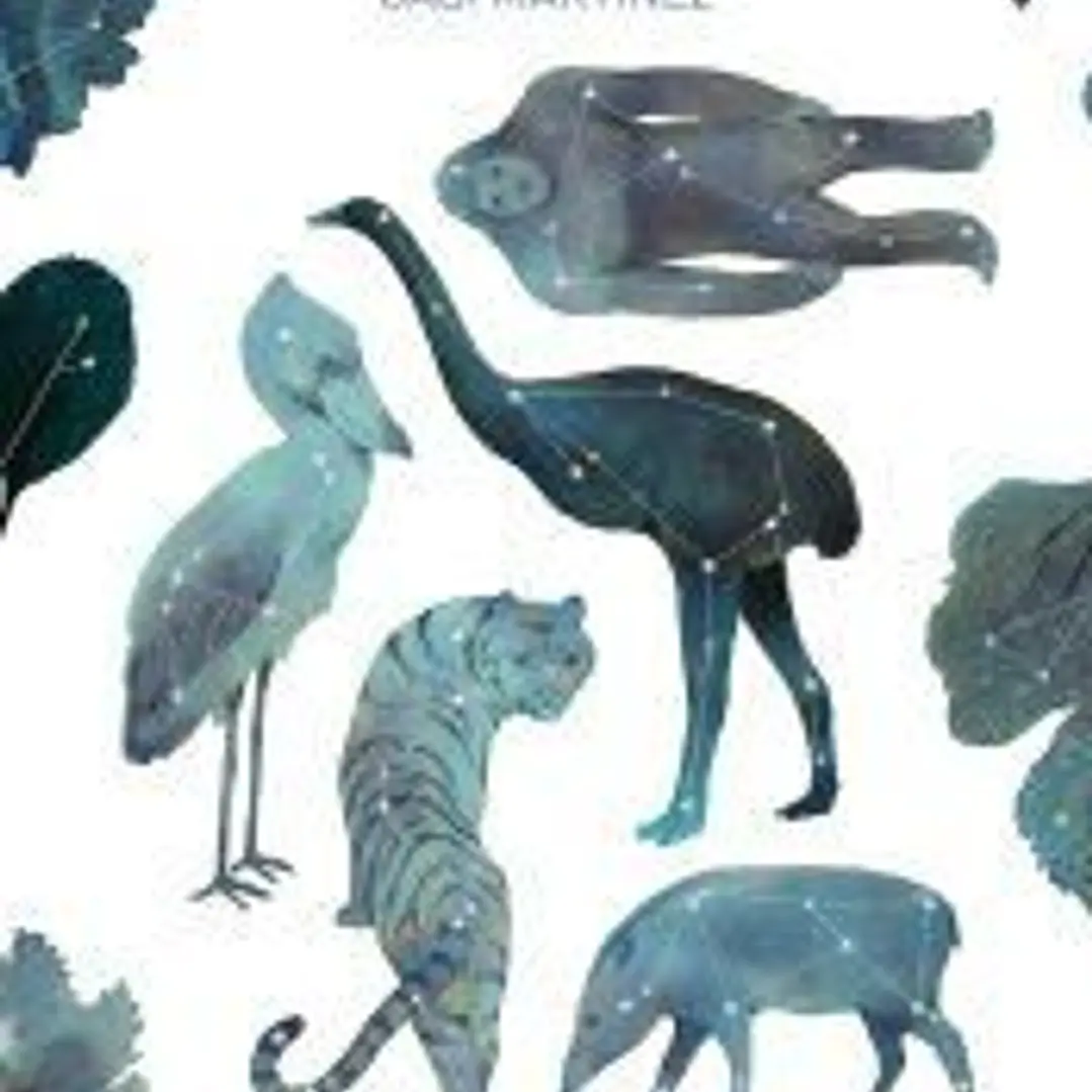 Animales Invisibles 1