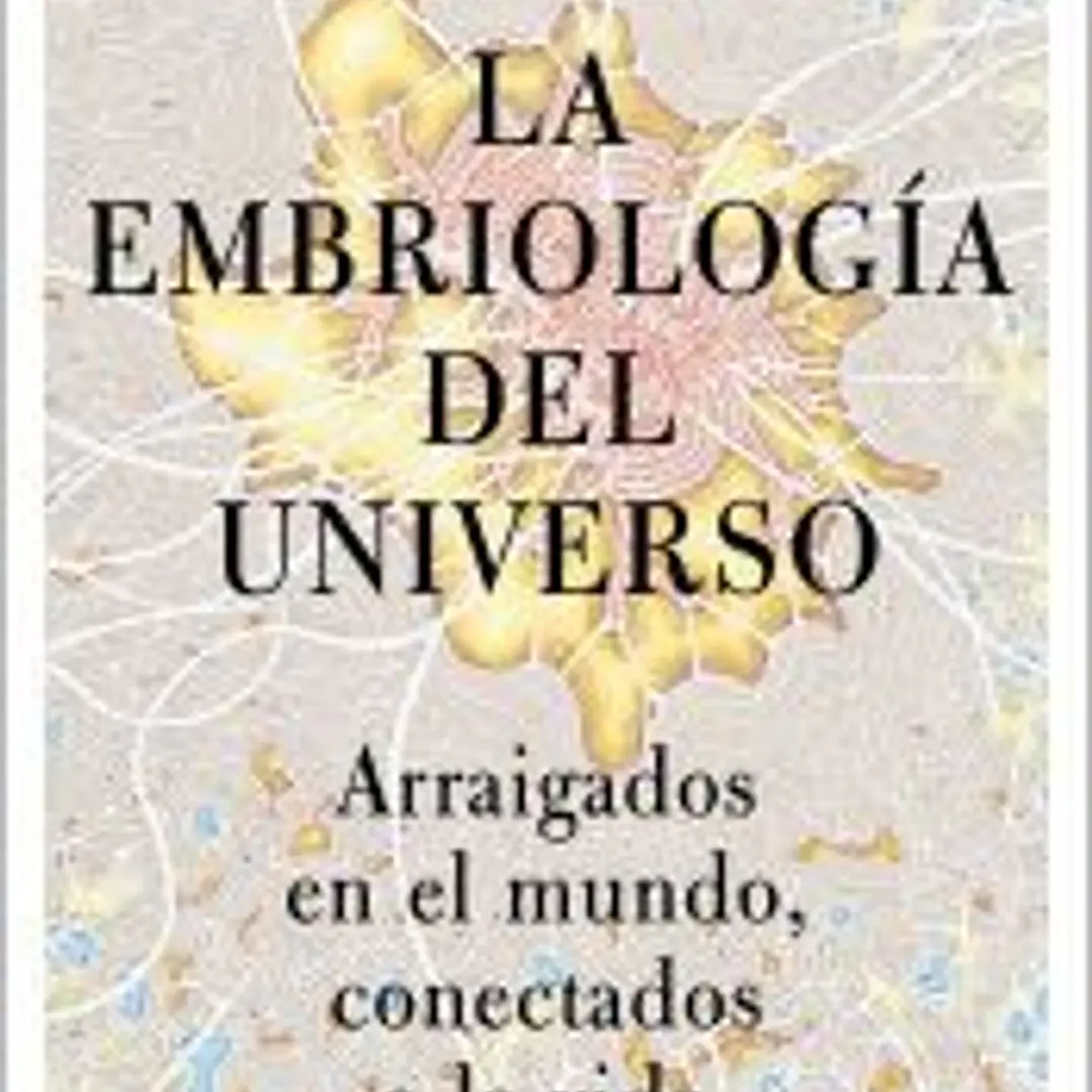 La embriología del universo 1