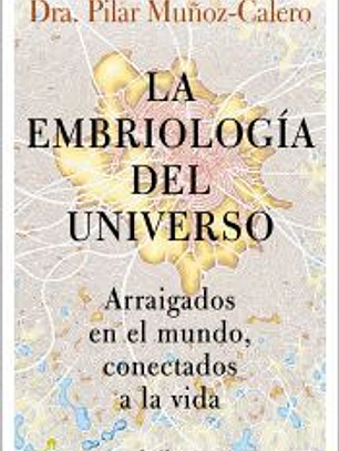 La embriología del universo