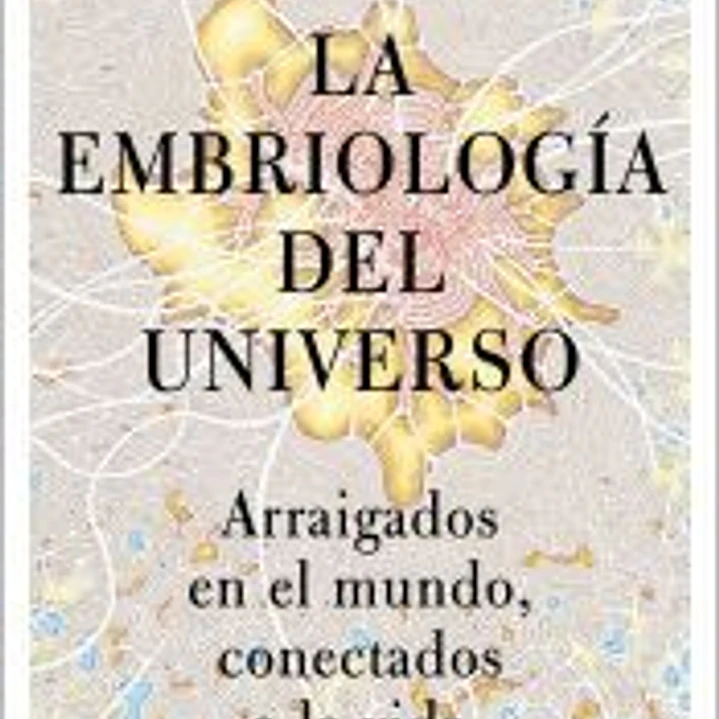 La embriología del universo 1