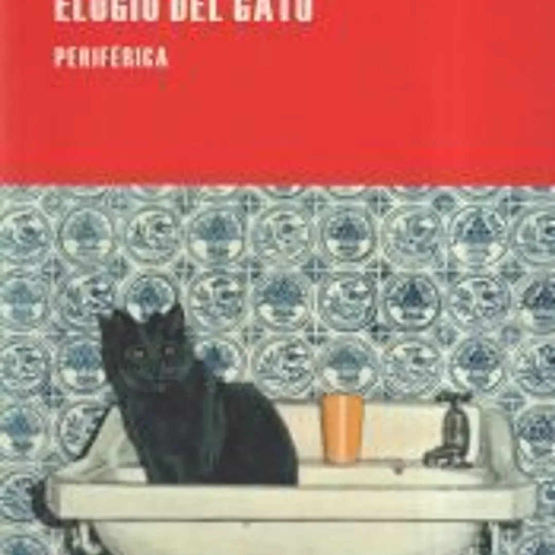 Elogio del gato 1