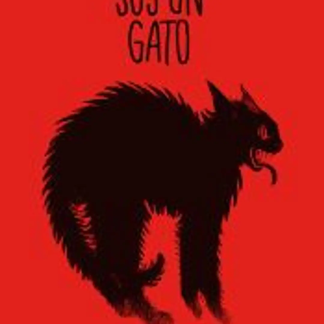 SOY UN GATO 1