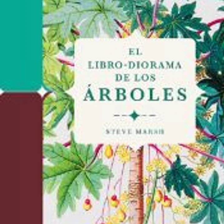 El libro-diorama de los árboles 1