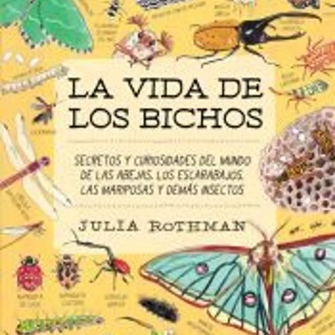 La vida de los bichos 1
