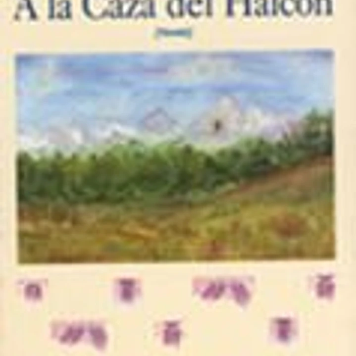 A la caza del Halcón 1