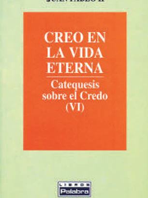 Creo en la vida eterna, catequesis sobre el Credo VI