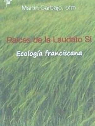 Raíces de la Laudato Sí: Ecología franciscana
