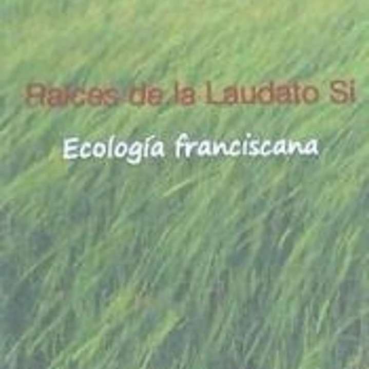 Raíces de la Laudato Sí: Ecología franciscana 1