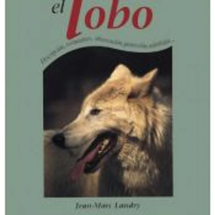 EL LOBO 1