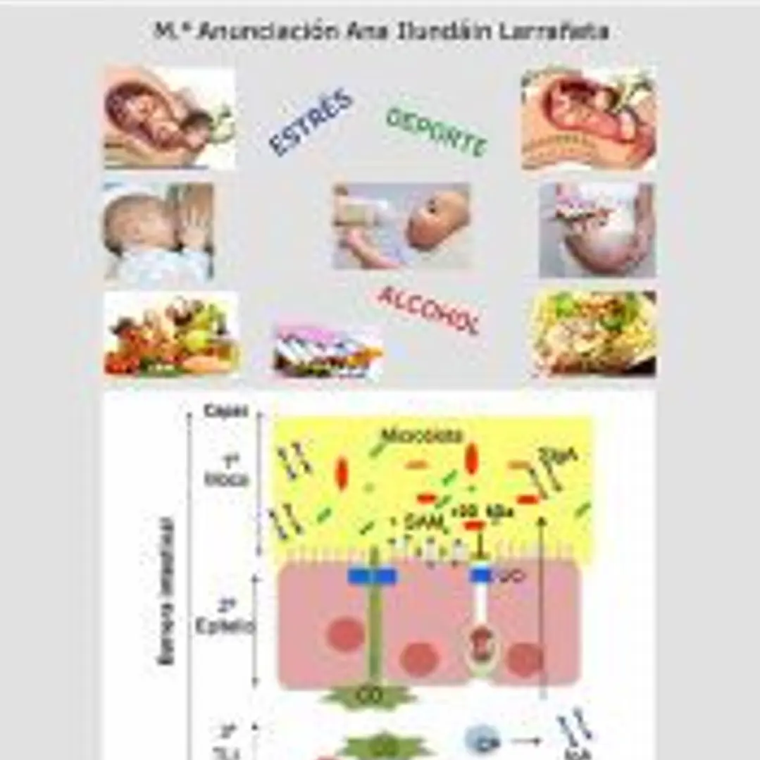 LA BARRERA Y MICROBIOTA INTESTINAL Y SU CONTRIBUCIÓN A NUESTRA SALUD 1