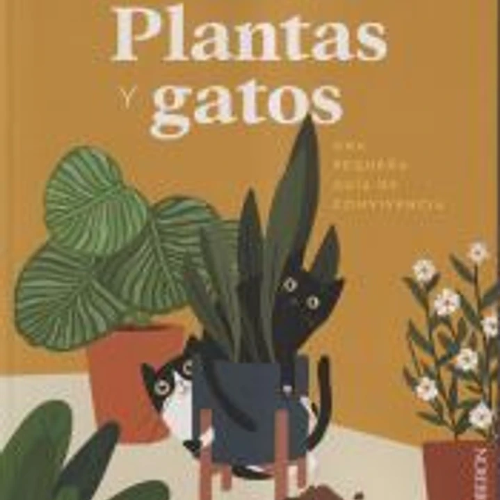 Plantas y gatos 1