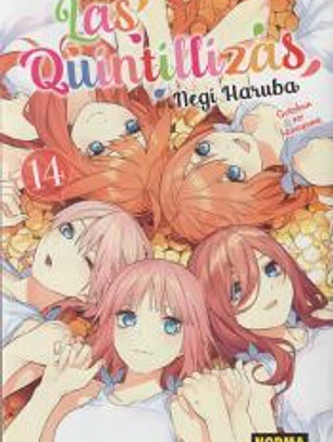 LAS QUINTILLIZAS 14